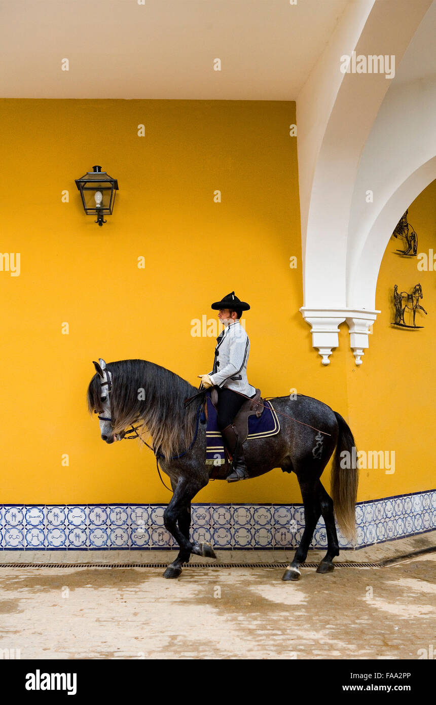 Rider of Royal Andalusian School of Equestrian Art. `Real Escuela